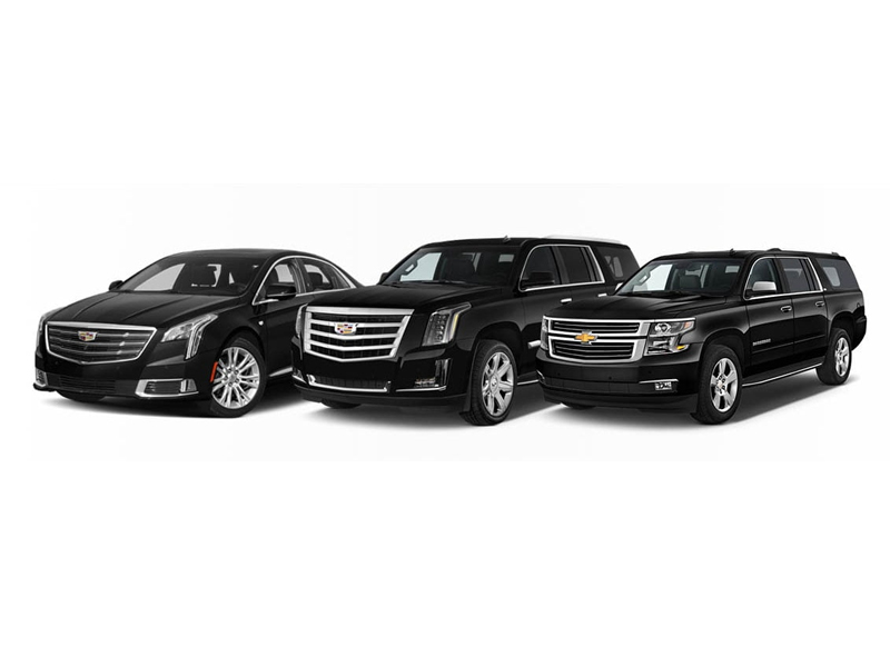 waterloo taxi to pearson airport